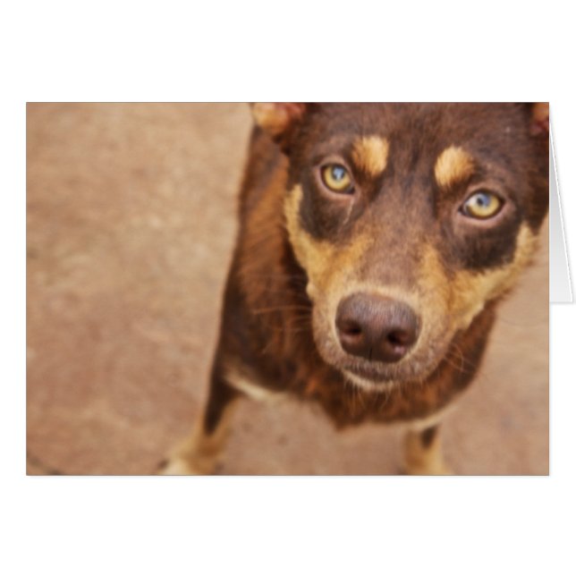 愛の一見 (正面横)