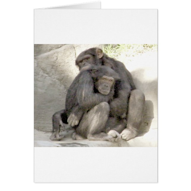 愛の保護_ (正面)