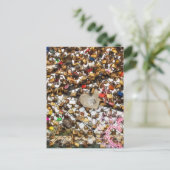 愛の写真の南京錠のフェンス ポストカード (スタンド正面)