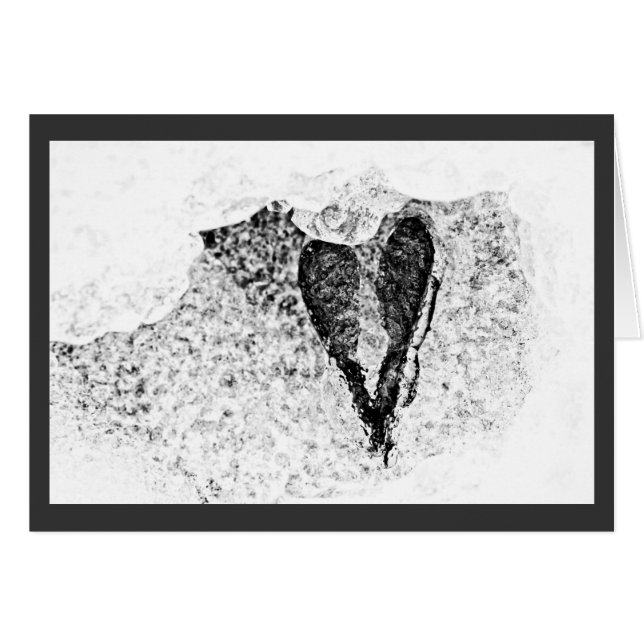 愛の冷たい種 (正面横)