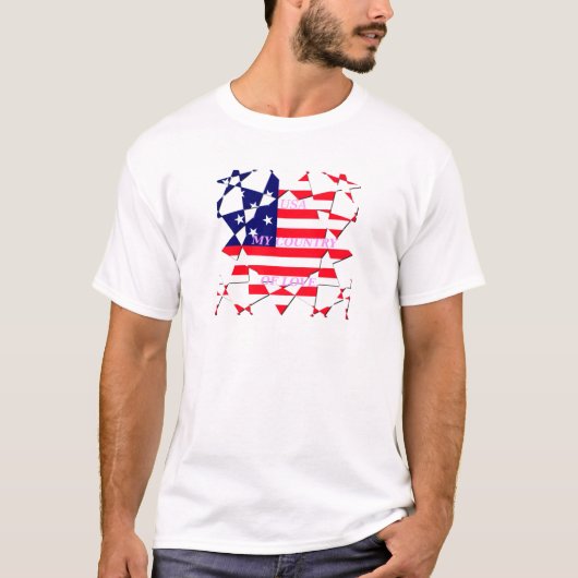 愛の国を愛するアメリカのスター Tシャツ (正面)
