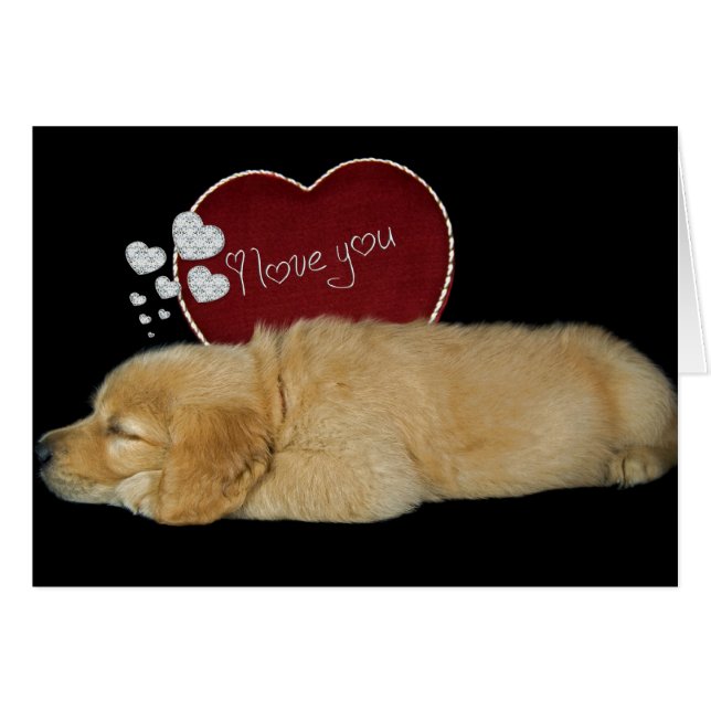 愛の夢を見る (正面横)