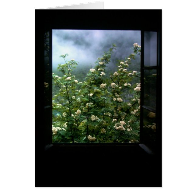 愛の女性 (正面)