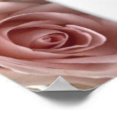 愛の宣言ピンク淡い色のローズスクエアポスター ポスター (角)