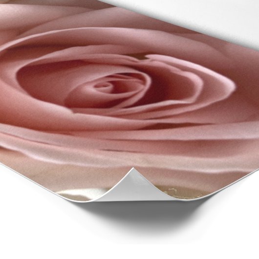 愛の宣言ピンク淡い色のローズスクエアポスター ポスター (角)