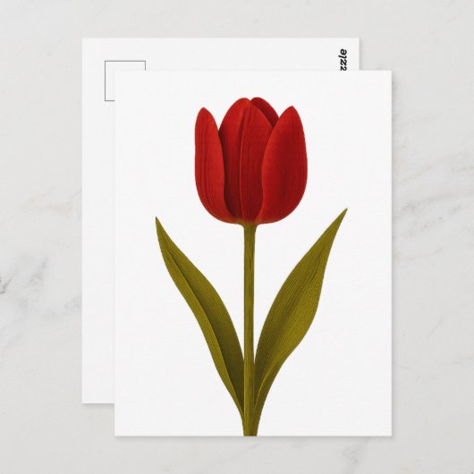 愛の宣言 ポストカード (正面/裏面)