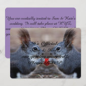 愛の巣立つ squirrel 結婚式招待状 招待状 (正面/裏面)