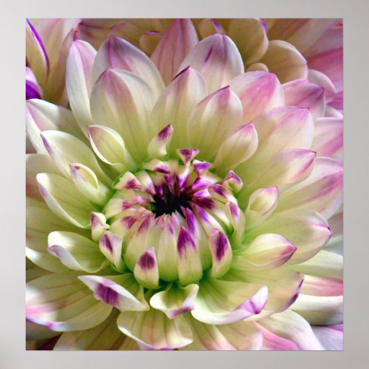 愛の広がり_ポスター ポスター (正面)