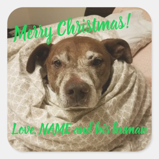 愛の弾丸と彼の人間 スクエアシール (正面)