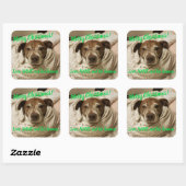 愛の弾丸と彼の人間 スクエアシール (シート)