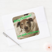 愛の弾丸と彼の人間 スクエアシール (封筒)