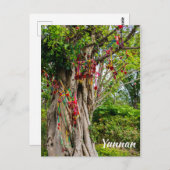 愛の木、Zhonghe – 雲南省、中国 ポストカード (正面/裏面)