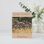 愛の柔らかい情熱アフリカのゼブラカッコいいカード ポストカード (スタンド正面)