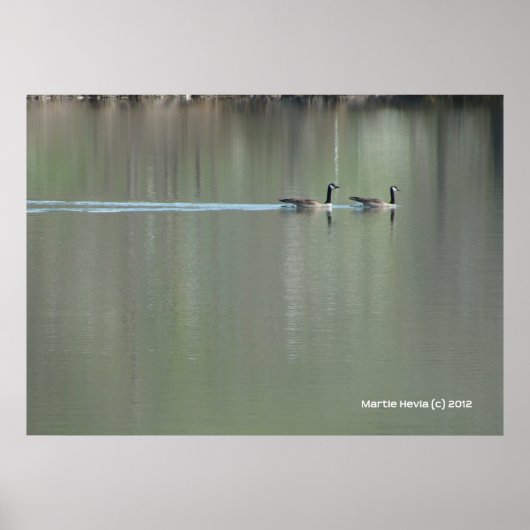 愛の泳ぎ ポスター (正面)