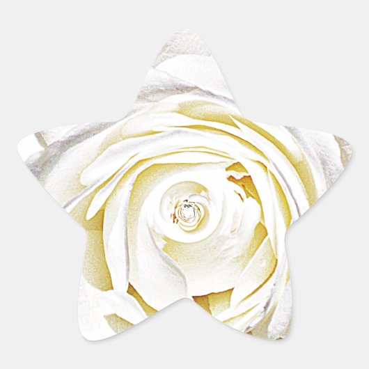 愛の白いバラ 星シール (正面)