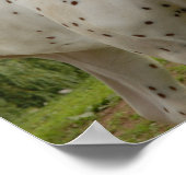 愛の白馬 ポスター (角)