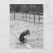 愛の種をまくこと ポストカード (正面)