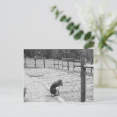 愛の種をまくこと ポストカード (スタンド正面)