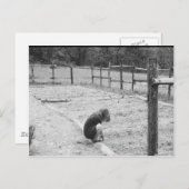 愛の種をまくこと ポストカード (正面/裏面)