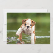 愛の笑い魔法の思い出ホリディフォトカード シーズンカード (裏面)