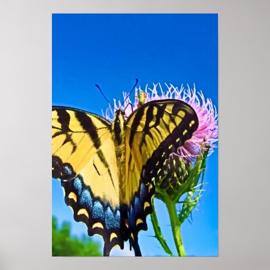 愛の翼のポスター ポスター (正面)