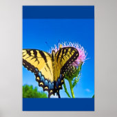 愛の翼 ポスター (正面)