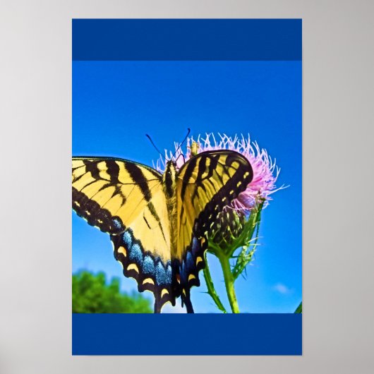 愛の翼 ポスター (正面)