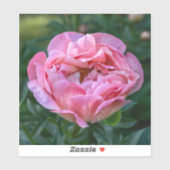 愛の芍薬 - ソフトピンクの花 シール (シート)