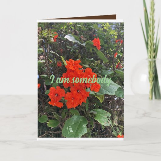 愛の花の人からの挨拶気に。 カード (正面)