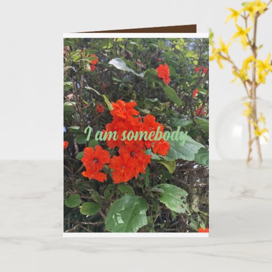 愛の花の人からの挨拶気に。 カード (黄色い花)