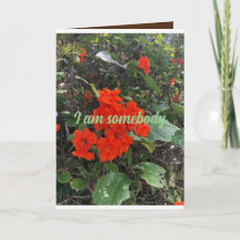 愛の花の人からの挨拶気に。