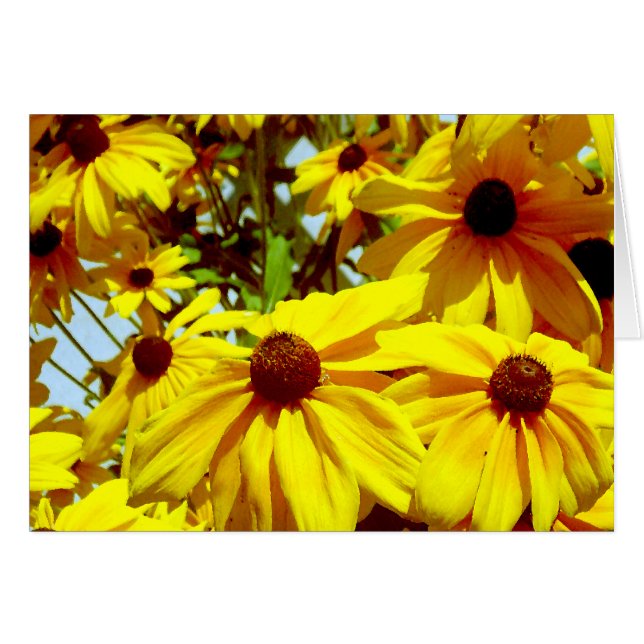 愛の花_ (正面横)