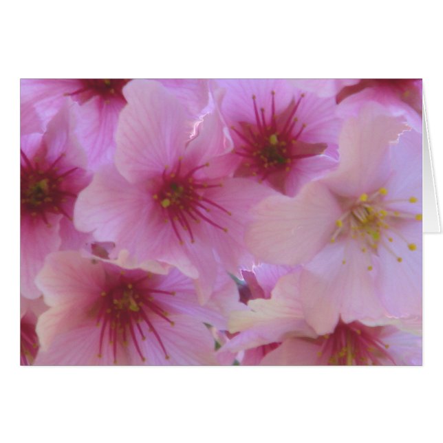 愛の花 (正面横)