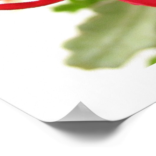 愛の花 ポスター (角)