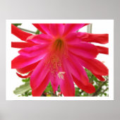 愛の花 ポスター (正面)