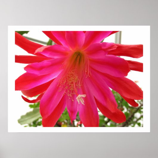 愛の花 ポスター (正面)