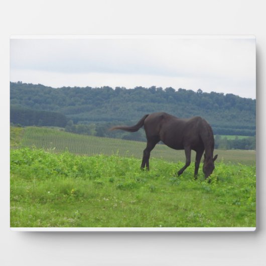 愛の草原 フォトプラーク (正面)