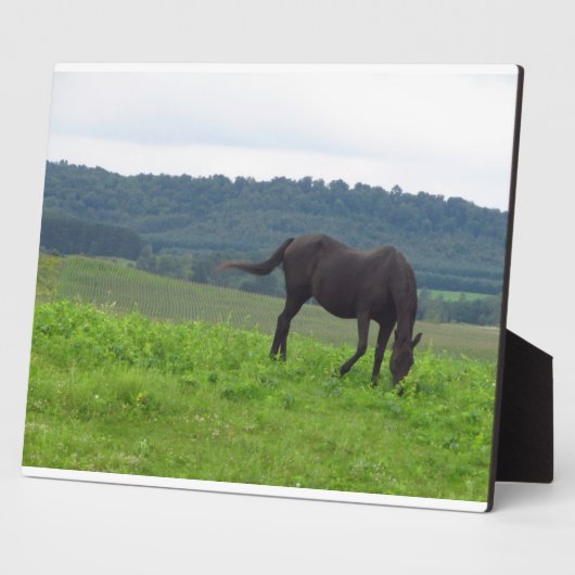 愛の草原 フォトプラーク (側面)