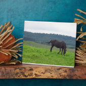 愛の草原 フォトプラーク (側面)