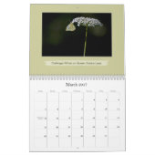 愛の蝶と花の写真 カレンダー (3月 2017)