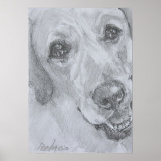 愛の表情 ポスター