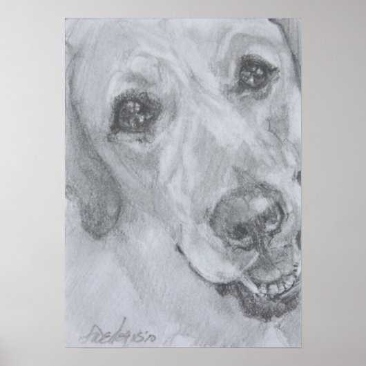 愛の表情 ポスター (正面)