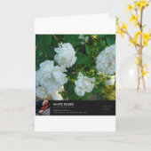 愛の言葉 カード (黄色い花)