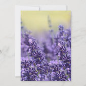 愛の記憶の中でラベンエレガントダー氏の葬儀の写真 招待状 (裏面)