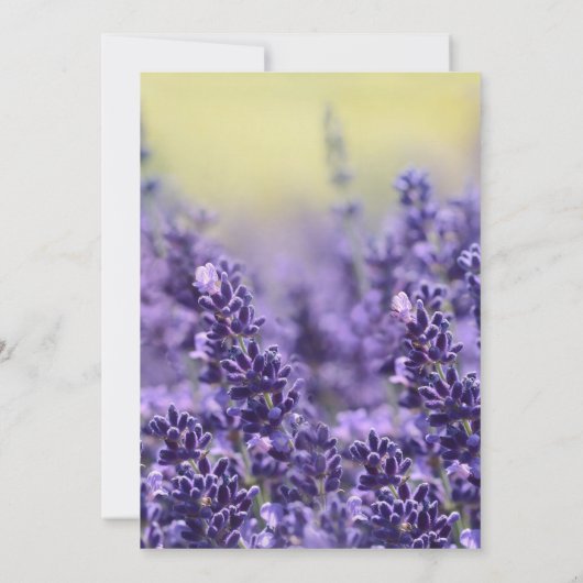 愛の記憶の中でラベンエレガントダー氏の葬儀の写真 招待状 (裏面)