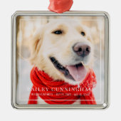 愛の記憶の中のペット記念額写真 メタルオーナメント (正面)