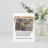 愛の詩とビーチオレンジ ポストカード (スタンド正面)