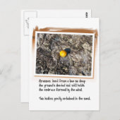 愛の詩とビーチオレンジ ポストカード (正面/裏面)