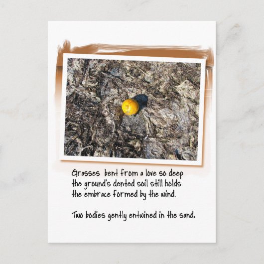 愛の詩とビーチオレンジ ポストカード (正面)