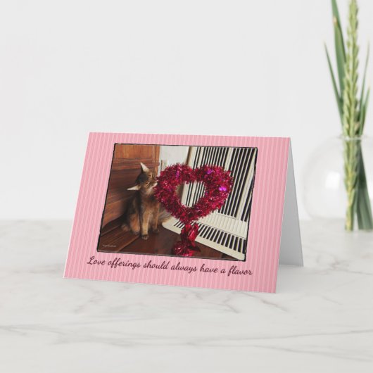 愛の贈り物 ソマリ猫のカード シーズンカード (正面)